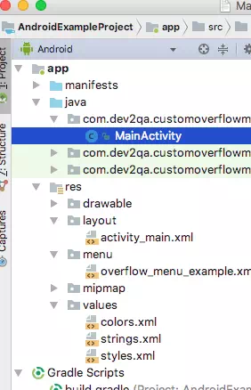 android-custom-overflow-menu-example-project-files-structure