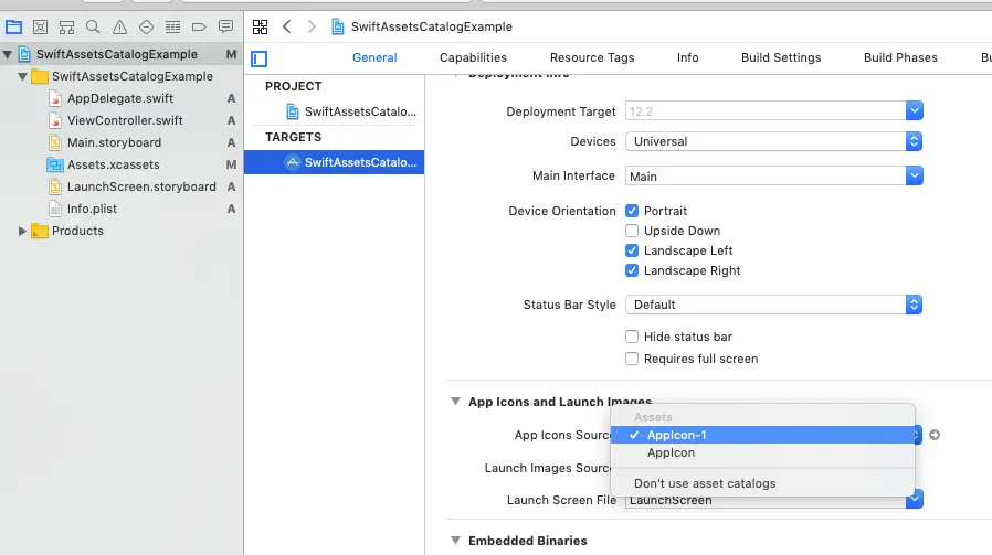 select-appicon-set-for-ios-app-in-xcode-project-target
