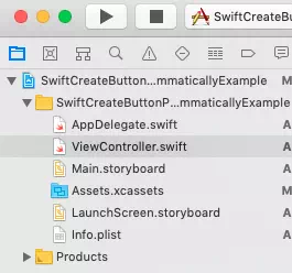 create-button-and-button-event-process-function-programmatically-project-files-list