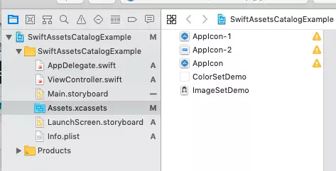 default-xcode-asset-catalog-for-single-view-app-project