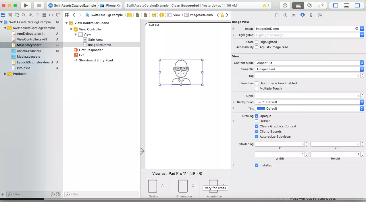 display-different-image-in-imageview-object-use-different-ios-device