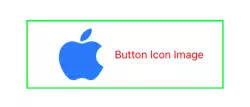 set-swift-buttons-icon-image-