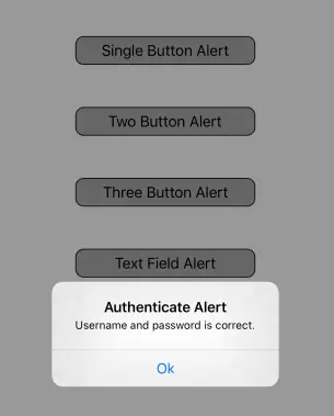 after-authenticate-user-account-show-an-alert-dialog-with-result