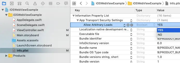 xcode-project-Info.plist-app-transport-security-settings-allow-arbitrary-loads